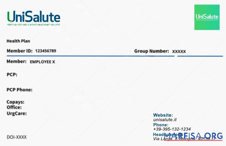 Realistic Italy health insurance card sample